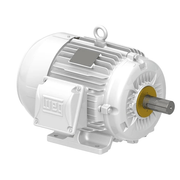 Motor Elétrico Trifásico 4 Pólos 220/380V 0,75CV 1800Rpm 71 B3D Ir3 Pes 12988120 WEG
