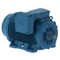Motor Elétrico Trifásico 6 Pólos 380/660V 150CV 1200Rpm 315S/M B3D Ir3 Pes 11147730 WEG