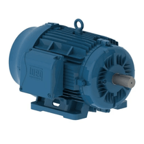 Motor Elétrico Trifásico 2 Pólos 380/660V 25CV 3600Rpm 160M B3D Ir3 Pes 11799721 WEG