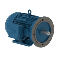 Motor Elétrico Trifásico 4 Pólos 220/380V 0,5CV 1800Rpm 71 B14D Ir3 C-Din 12156080 WEG