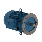 Motor Elétrico Trifásico 4 Pólos 220/380V 5CV 1800Rpm L100L B5D Ir3 Ff   11474298 WEG