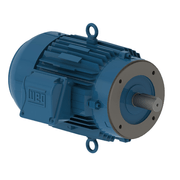 Motor Elétrico Trifásico 4 Pólos 220/380V 0,33CV 1800Rpm 63 B14D Ir3 C-Din 11720557 WEG