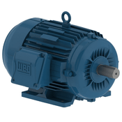 Motor Elétrico Trifásico 6 Pólos 220/380V 4CV 1200Rpm 132S B3D Ir3 Pes 13388300 WEG