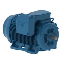 Motor Elétrico Trifásico 4 Pólos 380/660V 200CV 1800Rpm 315S/M B3D 15550115 WEG