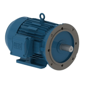 Motor Elétrico Trifásico 4 Pólos 220/380V 1,5CV 1800Rpm L80 B35D Ir3 Ff Pes 11866886 WEG