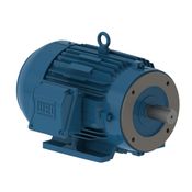 Motor Elétrico Trifásico 6 Pólos 220/440V 10CV 132M/L B34D Ir3 11512860 WEG