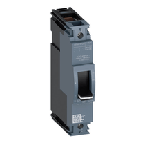 Disjuntor Caixa Moldada Monopolar Térmico/Magnético Fixos 240VCA 63A 25KA Sentron 3Vm11633Ed120Aa0 Siemens