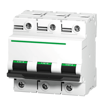 Disjuntor Mini Tripolar 125A 440VCA C 6KA A9N18369 Schneider