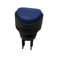 Botão Redondo Azul 22mm Clbs2/06 CLBS206 Ace Schmersal