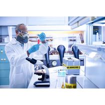 Respirador Semi-Fac Elas Gd Hf803Sd Hb004659528 3M