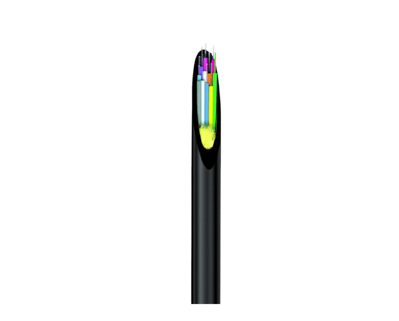 28370019-2