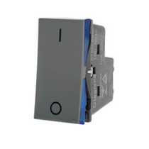 Módulo Interruptor Man 2P 250V 10A Cinza Com 1 Interruptor Simp Com 1Módulo 612005CZ Pial Legrand
