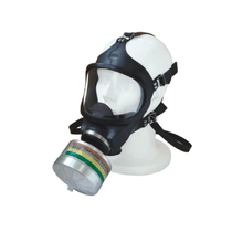 Filtro Cart Quim 2-P3 Resp Gmm Medio 297702 - Msa