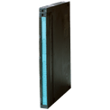 303381