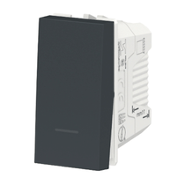 Módulo Interruptor Paralelo 10Ax 250V Orion S70110394 Schneider