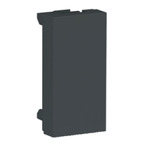 Módulo Cego 1m Gr (2 Peças) S70866194 Schneider