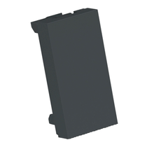 Módulo Cego 1m Gr (2 Peças) S70866194 Schneider