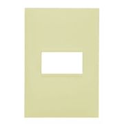 Placa Cega 1 Posto 4X4" Palha M9P0PA Pial Legrand