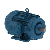 Motor Trifásico Tetrapolar 380/660V 20Cv 160M B3T Premium 11659592 WEG