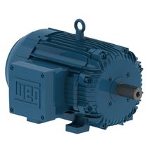 Motor Trifásico 6P 380/660V 3Cv 1200Rpm L100L B3D Ir3 Pes 12164124 WEG