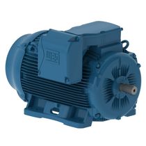 Motor Trifásico 8P 220/440V 50Cv 900Rpm 250S/M B3D Ir3 Pes 11097681 WEG
