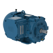 Motor Trifásico Bipolar 220/380V 0,33Cv 3600Rpm 63 B3D Ir3 11416809 WEG