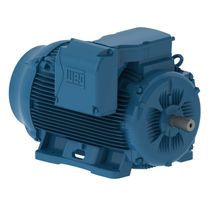 Motor Trifásico Bipolar 220/440V 300Cv 3600Rpm 355M/L B3D Ir3 Pes 11854997 WEG