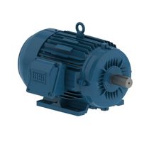 Motor Trifásico de Indução 2CV 220/380/440 60HZ B3D WFF2 IE3 11961158