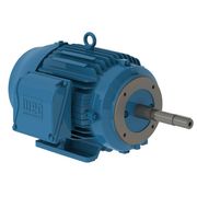 Motor Trifásico Bipolar 220/440V 20Cv 3600Rpm 160M B34D Ir3 C Pes 12063526 WEG
