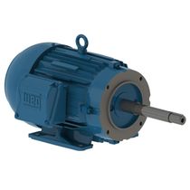 Motor Trifásico Bipolar 220/440V 10Cv 3600Rpm 132S B34D Ir3 C Pes 12064066 WEG