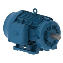 Motor Trifásico 8P 380/660V 7,5Cv 900Rpm 160M B3D Ir3 Pes 12158719 WEG