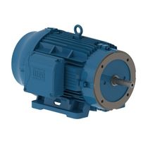 Motor Trifásico Tetrapolar 220/440V 50Cv 1800Rpm 200L B34D Ir3 C Pes 12195154 WEG