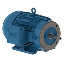 Motor Trifásico Bipolar 380/660V 6Cv 3600Rpm 112M B34D Ir3 C Pes 12352748 WEG