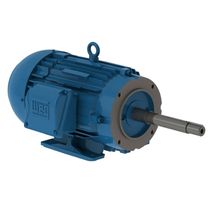 Motor Trifásico Tetrapolar 380/660V 4Cv 1800Rpm L100L B34D Ir3 C Pes 12352995 WEG