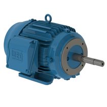 Motor Trifásico Bipolar 220/440V 30Cv 3600Rpm 180M B34D Ir3 C Pes 12358397 WEG