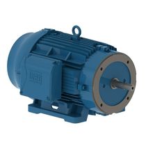 Motor Trifásico Bipolar 220/440V 40Cv 3600Rpm 200M B34D Ir3 C Pes 12815181 WEG