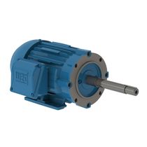 Motor Trifásico Tetrapolar 380/660V 5Cv 1800Rpm L100L B34D Ir3 C Pes 12815521 WEG