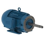 Motor Trifásico Tetrapolar 380/660V 12,5Cv 1800Rpm 132M B34D Ir3 C Pes 12815549 WEG