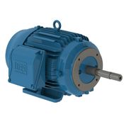 Motor Trifásico Tetrapolar 220/440V 25Cv 1800Rpm 180M B34D Ir3 C Pes 12815554 WEG