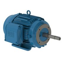 Motor Trifásico Tetrapolar 380/660V 50Cv 1800Rpm 200L B34D Ir3 C Pes 12815572 WEG