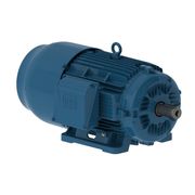 Motor Trifásico Bipolar 220/380V 25Cv 3600Rpm 160M B3D Ir3 Pes 12835869 WEG