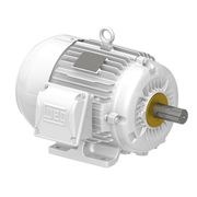 Motor Trifásico Tetrapolar 220/380V 0,5Cv 1800Rpm 71 B3D Ir3 Pes 12987906 WEG
