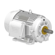 Motor Trifásico Tetrapolar 220/380V 25Cv 1800Rpm 160L B3D Ir3 Pes 12989663 WEG