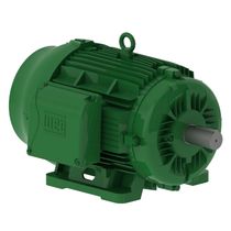 Motor Trifásico Tetrapolar 220/380V 40Cv 1800Rpm 200M B3D Ir3 Pes 13026772 WEG