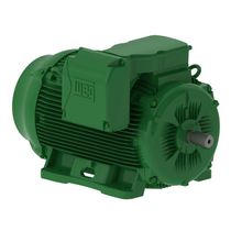 Motor Trifásico Tetrapolar 220/380V 100Cv 1800Rpm 250S/M B3D Ir3 Pes 13027634 WEG