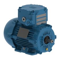 Motor Trifásico 6P 220/380V 0,25Cv 1200Rpm 71 B3T Ir3 Pes W22Xdb 13031308 WEG