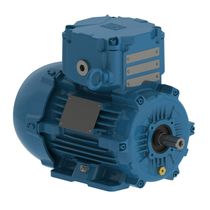 Motor Trifásico Bipolar 220/380V 0,75Cv 3600Rpm 71 B3T Ir2 Pes W22Xdb 13269147 WEG