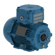 Motor Trifásico Tetrapolar 220/380V 0,16Cv 1800Rpm 71 B3T Ir2 Exd W22Xdb 13269258 WEG