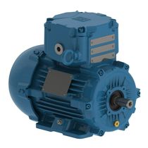Motor Trifásico Tetrapolar 220/380V 0,75Cv 1800Rpm 71 B3T Ir2 Exd W22Xdb 13269266 WEG