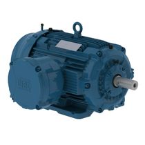 Motor Trifásico Tetrapolar 220/440V 30Cv 1800Rpm 180M/L B3D Ir2 Exd W22Xdb 13269342 WEG